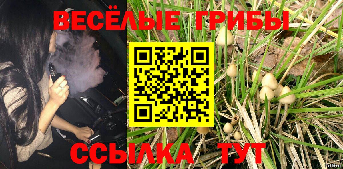 Псилоцибиновые грибы Psilocybine cubensis Добрянка